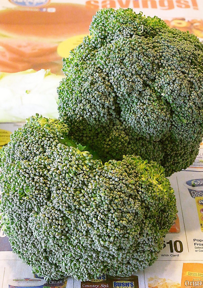 A picture of The Best Way To Keep Broccoli Fresh!.