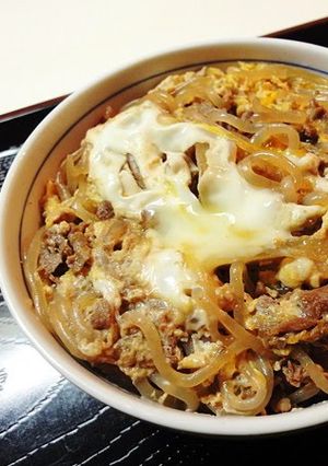 A picture of Beef and Egg over Rice.