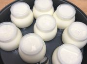 A picture of sữa chua hạt đác