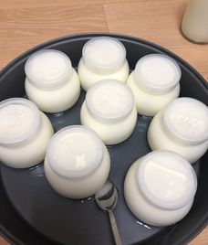 sữa chua hạt đác