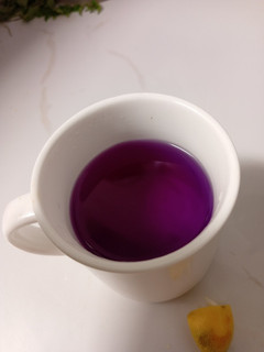 Foto resep Teh Bunga Telang