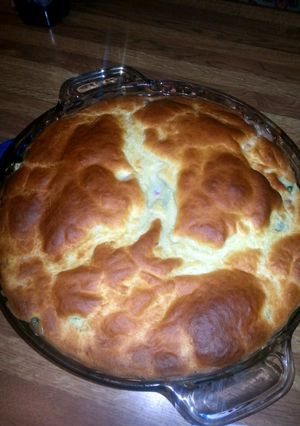 A picture of Pot Pie.