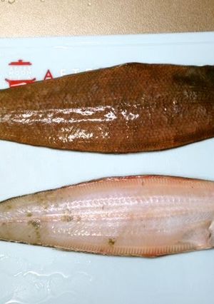 A picture of How to Remove the Skin and Scales from Sole.