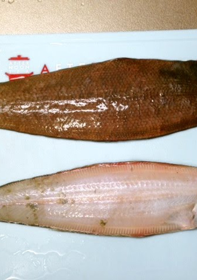 A picture of How to Remove the Skin and Scales from Sole.