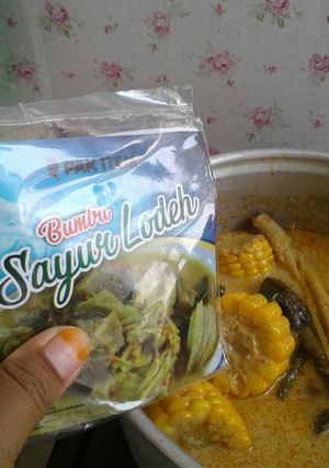 Foto resep Sayur lodeh simple