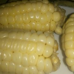 A picture of Corn on the cob.