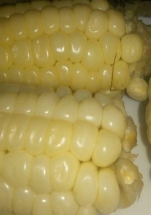 A picture of Corn on the cob.