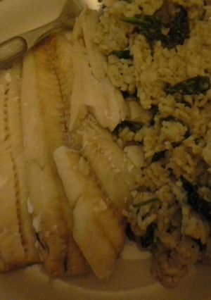 A picture of Risotto & fish.