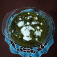 Palak tofu sham sabera