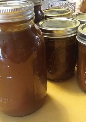 A picture of Suze's 7 Pepper Enchilada Sauce.