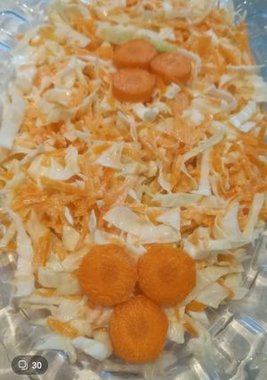 عکسی از دستور سالاد کلم سفید (رژیمی)