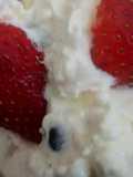 Lemon Blueberry Cloud
