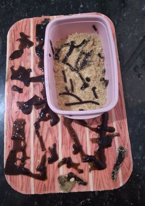 Foto de Minhoquinhas de gelatina