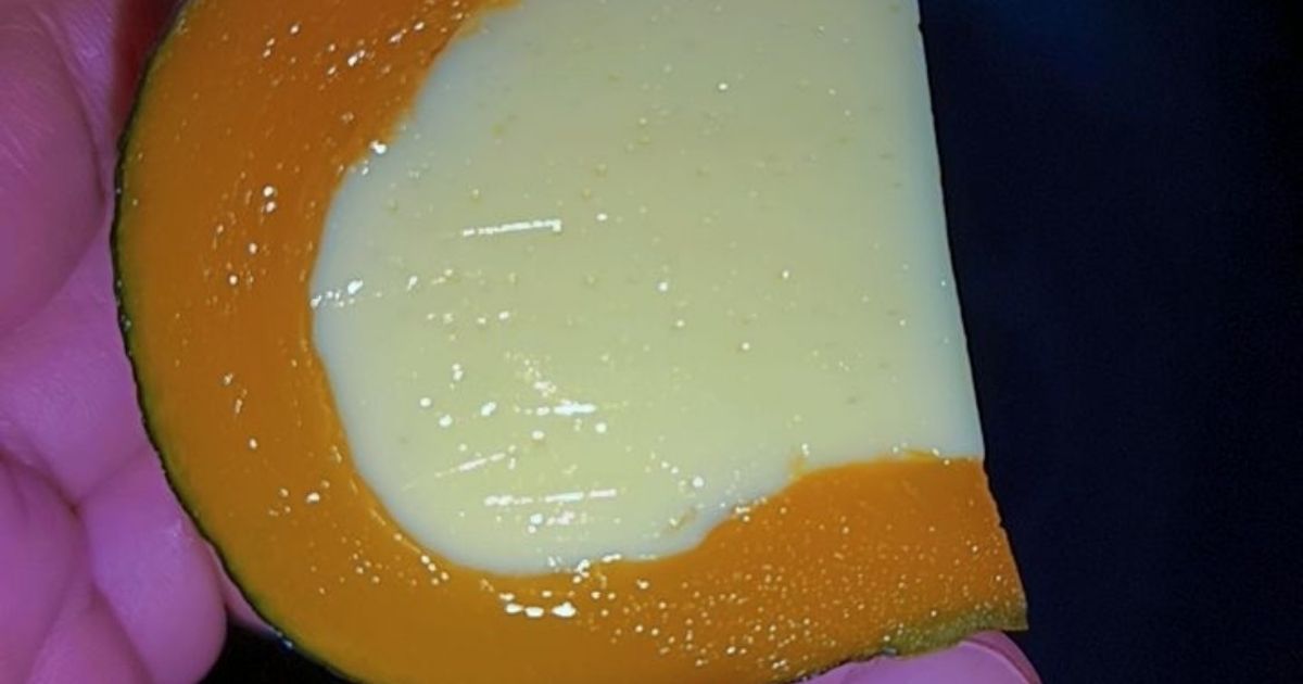 🇭🇰Pudding labu 🇭🇰