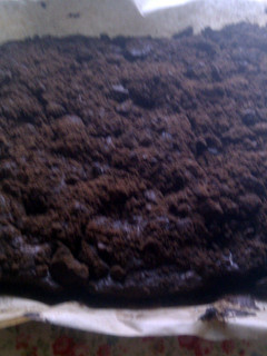A picture of BOURBON BISCUIT BROWNIES.