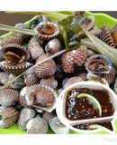 Kerang dara rebus+sambel kecap bawang putih