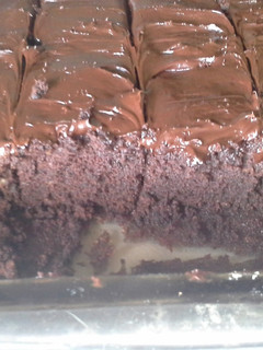A picture of Coco Brownies.