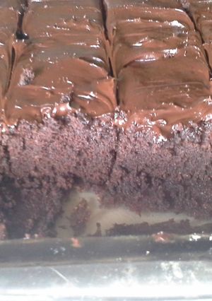 A picture of Coco Brownies.