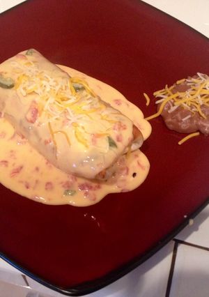 A picture of Chimichanga.