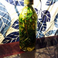 A picture of rosemary infused oil.