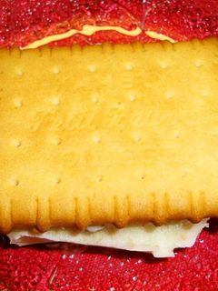 A picture of Rum Raisin Ice Cream Cookie Sandwiches.