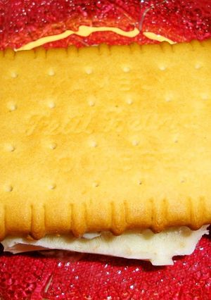A picture of Rum Raisin Ice Cream Cookie Sandwiches.