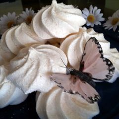 A picture of AMIEs MERINGUE.