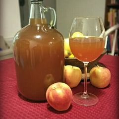A picture of T'Jim's Frosty Orchard Hard Cider.