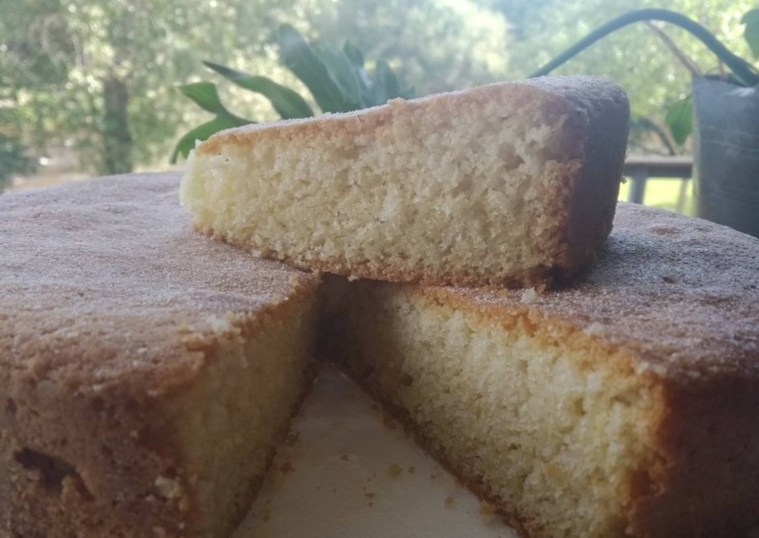 Bizcochuelo básico de vainilla Receta de Valentina Avancini Cookpad Bizcochuelo básico de vainilla Receta de Valentina Avancini Cookpad