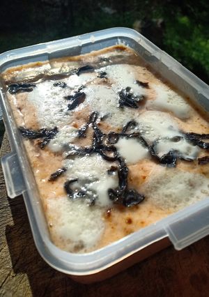 Foto resep Tuna Mentai Rice