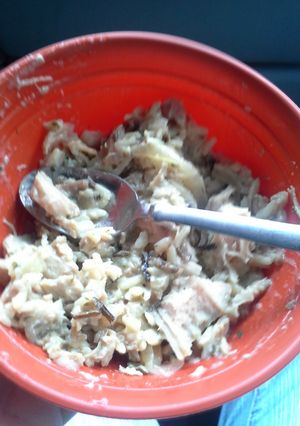 A picture of Crockpot Smothered Pork.