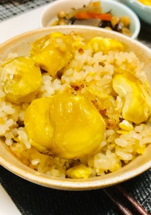 A picture of Easy Chestnut Rice (Kuri Gohan) – 3 Cups.