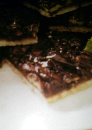 A picture of chocolate pecan bars.