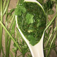 Coriander chutni for raita A picture of Coriander chutni for raita.