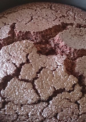 A picture of Homemade Vegan chocolate cake.