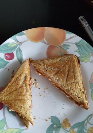 A picture of Paneer patty(paneer toast).