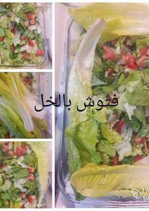 A picture of Fattoush with Vinegar.