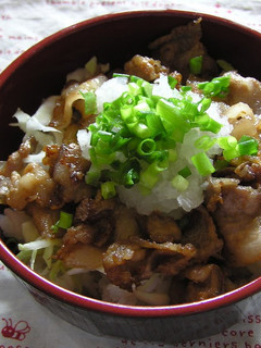 A picture of Refreshing Pork Don Rice Bowl with Ponzu Sauce and Grated Daikon Radish.