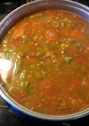A picture of hamburg veggie soup.