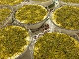 رز بحليب او مهلبية