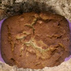 A picture of Banana Peanut Butter Bread.