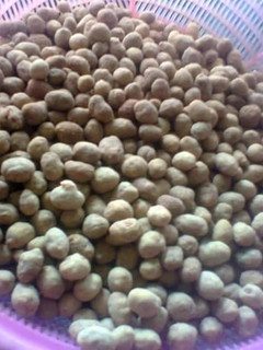 A picture of Peanuts.