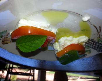 New Recipe Ricotta tomato fresh basil and extra virgem olive oil Restaurant Style