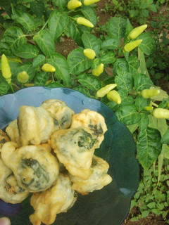 Foto resep Rolade daun singkong