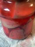 pickled bologna