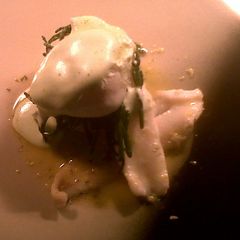 A picture of lemon sole with a tartare potato cake samphire and lemon butter sauce finished with parsley foam.
