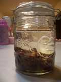 Homemade Raisin Leaven