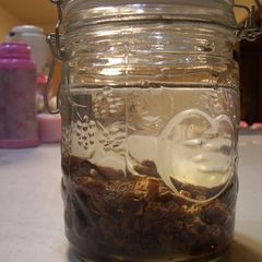 A picture of Homemade Raisin Leaven.