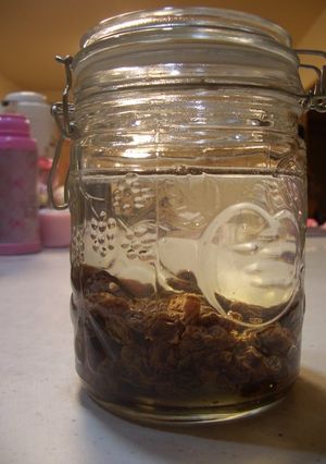 A picture of Homemade Raisin Leaven.