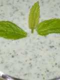Podina dahi